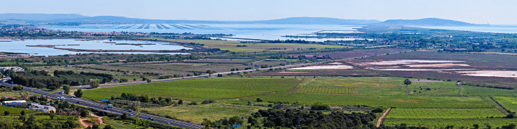 Auf dem Mount St. Loup -
                                          ein alter Vulkan zwischen Agde
                                          und Cape d'Agde bei Beziers,
                                          Languedoc, Sdfrankreich