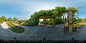 Mainau 2015
                                                  Rosengarten Arkaden
                                                  Ost