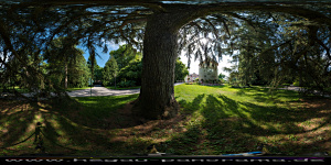 Mainau 2015
                                                  hinter dem
                                                  Grtnerturm