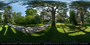 Mainau
                                                  2015 im Arboretum