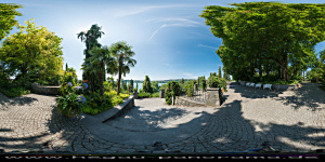 Mainau 2015 nahe
                                                  der
                                                  Mediterran-Terrasse