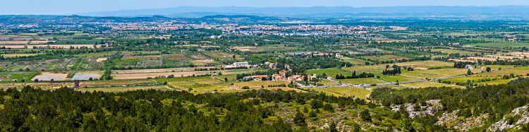 Auf
                                          dem Montagne de la Clape - ein
                                          Hhenzug zwischen Gruissan und
                                          Valras-Plage, Roussillon,
                                          Sdfrankreich