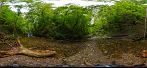 Kugelpanorama
                                                    in der
                                                    Gauchachschlucht
                                                    zwischen Burgmhle
                                                    und Balgenbchl