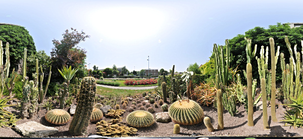 Kugelpanorama
                                            Radolfzell Stadtgarten
                                            Kakteengruppe