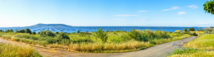 Blick ber die
                                              Muschelbnke von Bassin de
                                              Thau zu der Hafenstadt
                                              Sete 110 Panorama